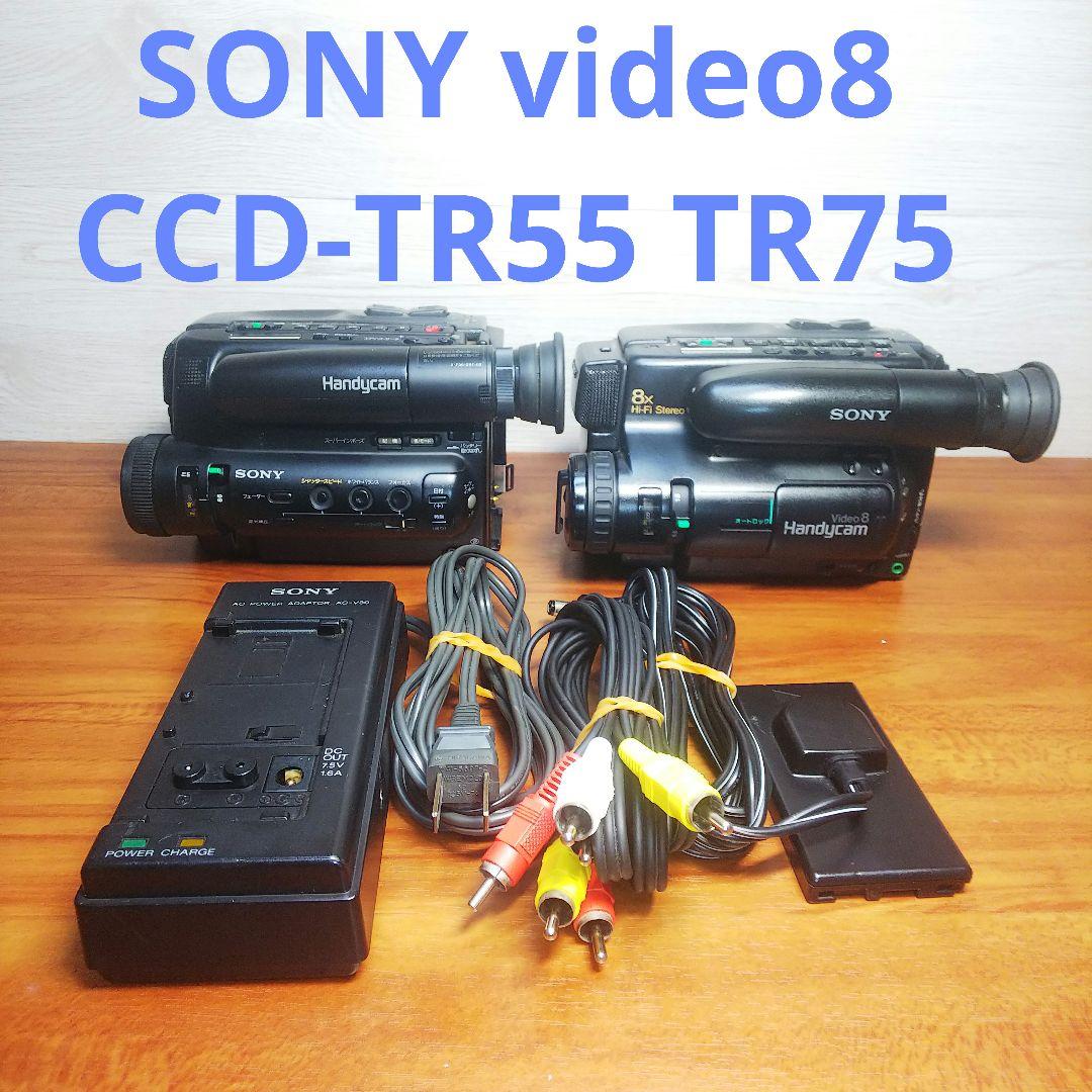 希少 大人気 動作品ソニーSony DCR-PC3 miniDVビデオカメラ