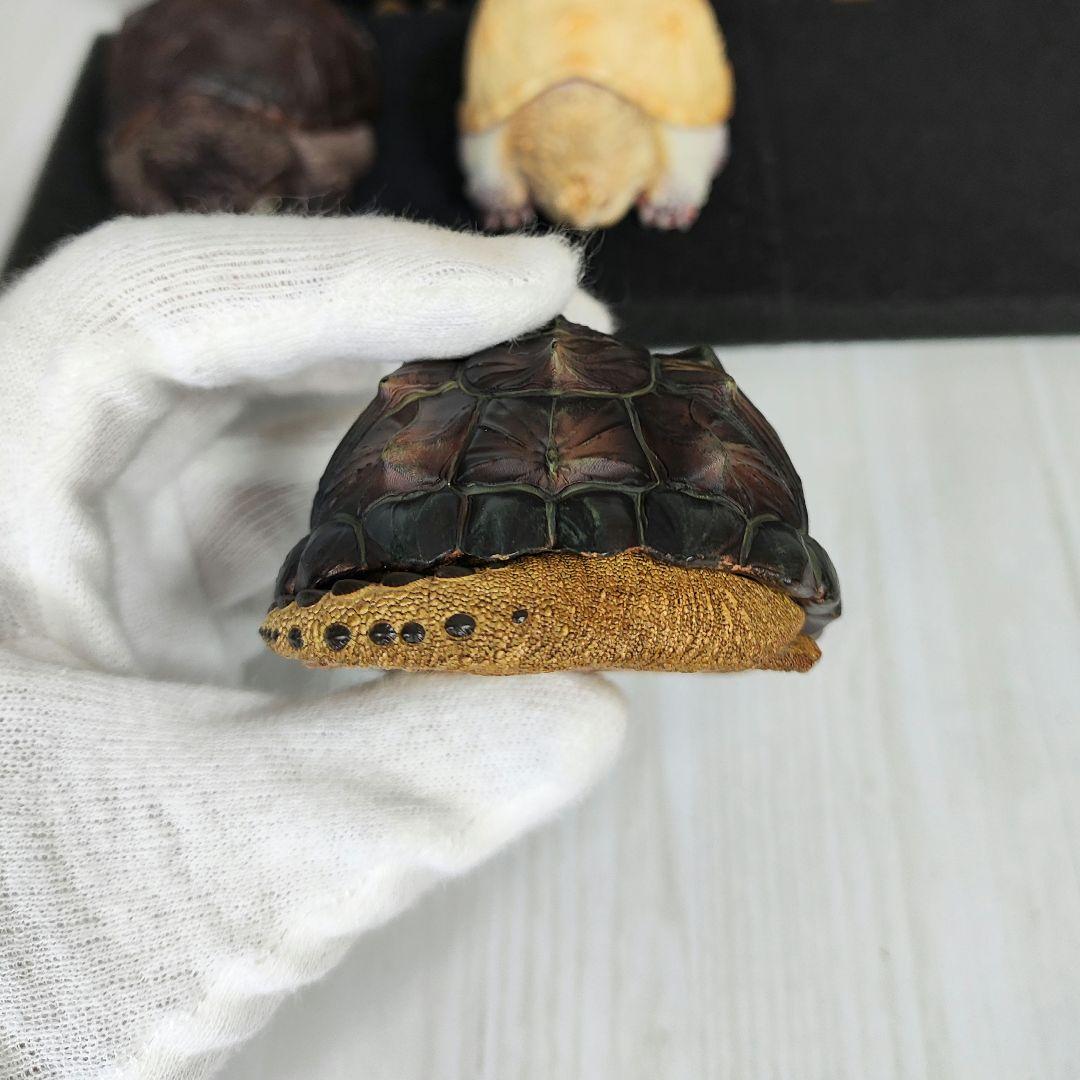 動物の惑星】☆激レア☆第1弾亀廃盤品ワニガメ+カミツキガメ