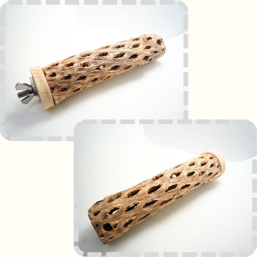 鳥用品 止まり木 カクタス スケルトン パーチ 細めサイズD ピピちゃん