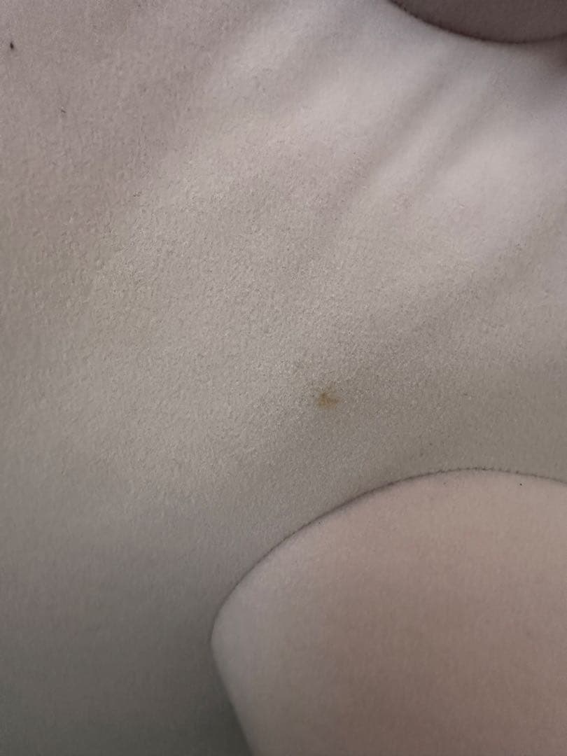 ⑧ 【レア】ポケットモンスター　絶対乗りたいラプラス　特大　ぬいぐるみ