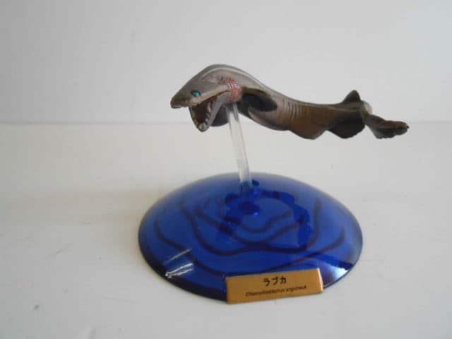 ♯Jxi01LT深海の巨大生物NHKスペシャル謎の海底サメ王国人気3種