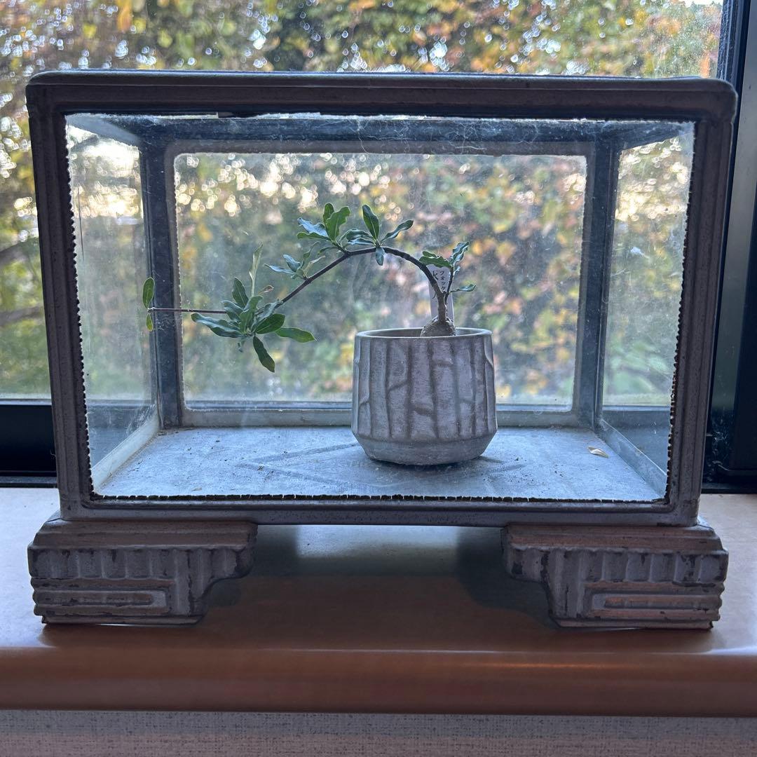 ブリキ 水槽 アンティーク アンティーク ブリキ水槽 古い 公式通販