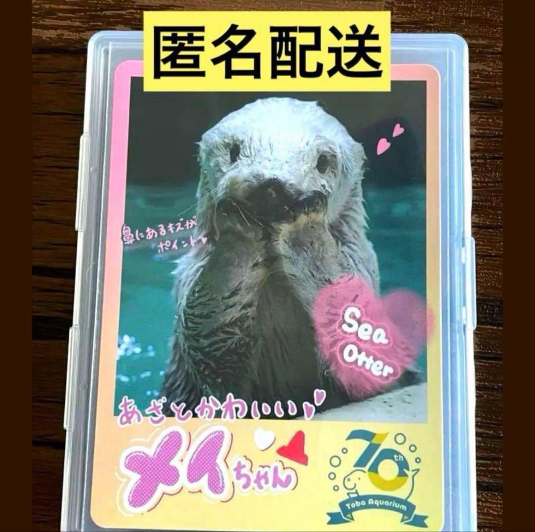 鳥羽水族館 コレクションカード メイちゃん - メルカリ