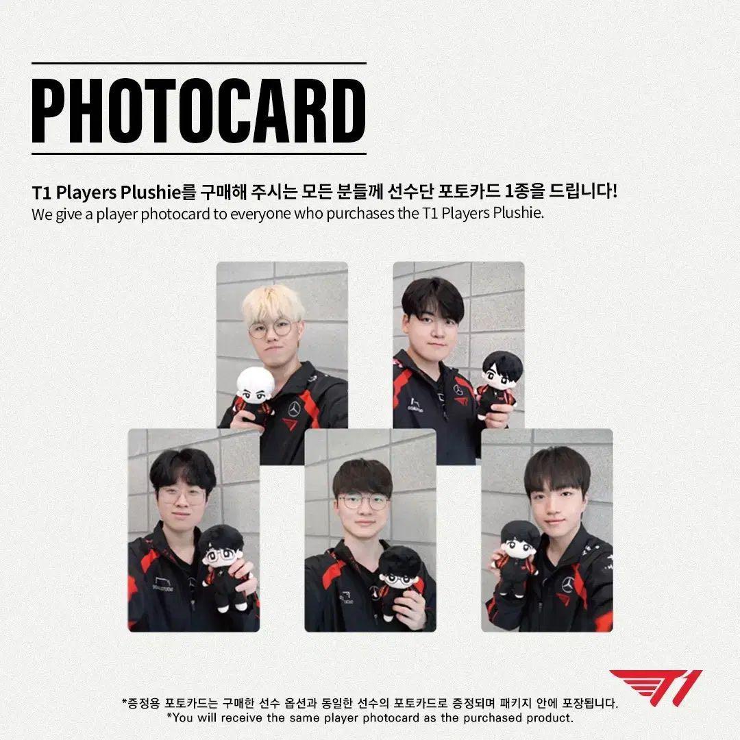 T1 Players ぬいぐるみ 5体セット フォトカード付き 未開封 値下げ可