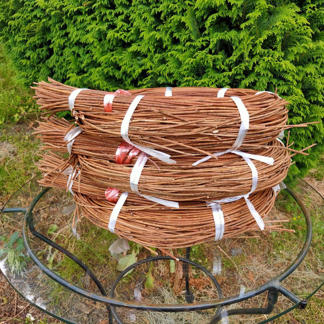 (注)青森県岩木山採取　あけび蔓　150cm～　3kg(依頼品)　1