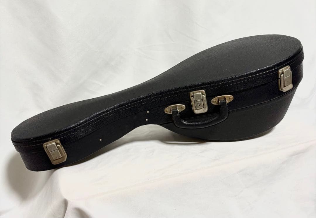 【新品弦張替済】SUZUKI マンドリン M-210 チューナー/ケース