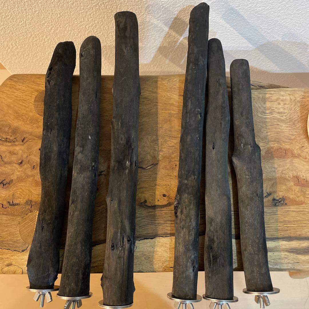 中型鳥さん用】螺旋状ぴょんぴょん飛び乗れる♬バードスタンド 2枚扉