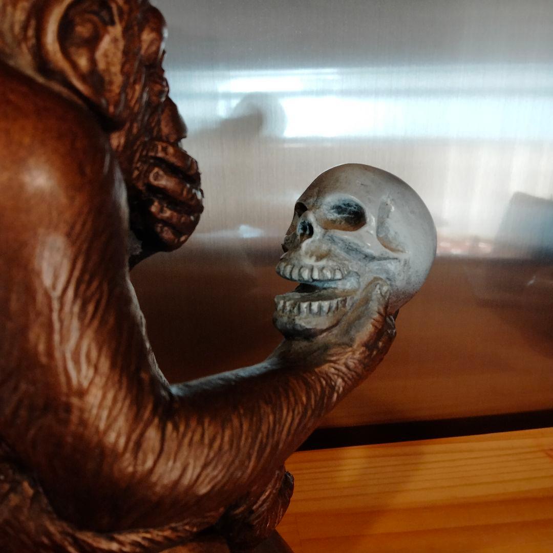 60s ダーウィン スカル ドクロ モンキー ビンテージ 毛なみ