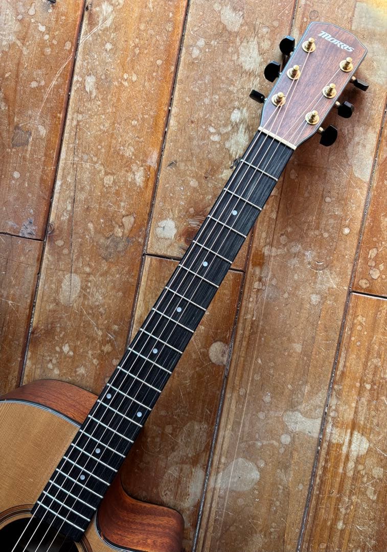 MORRIS S-031SP NAT 限定30本モデル - メルカリ