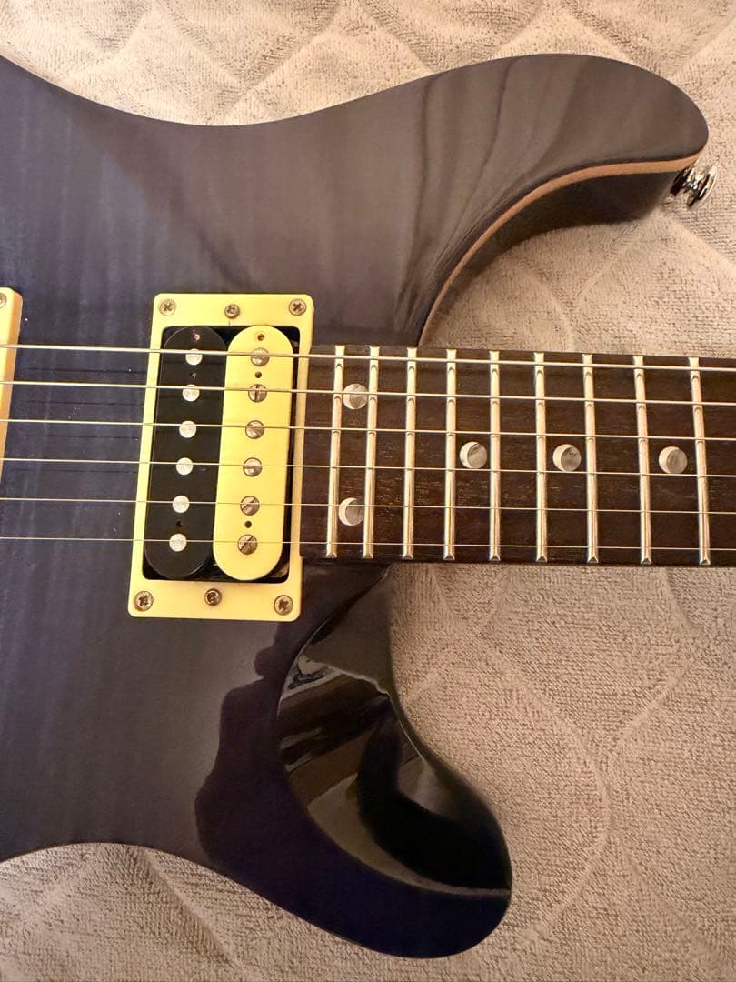 さぼてん様 PRS SE custom ポールリードスミス