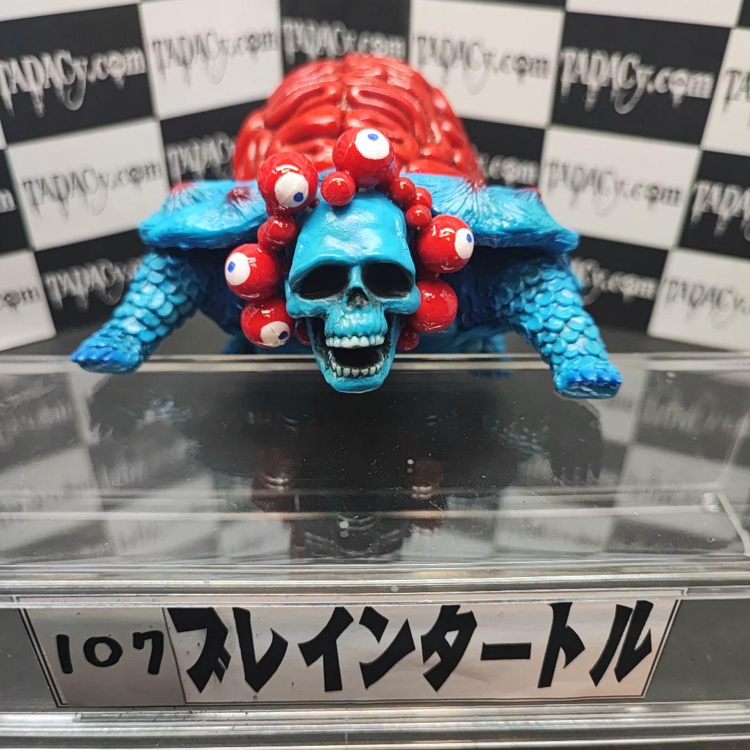 107ブレインタートル