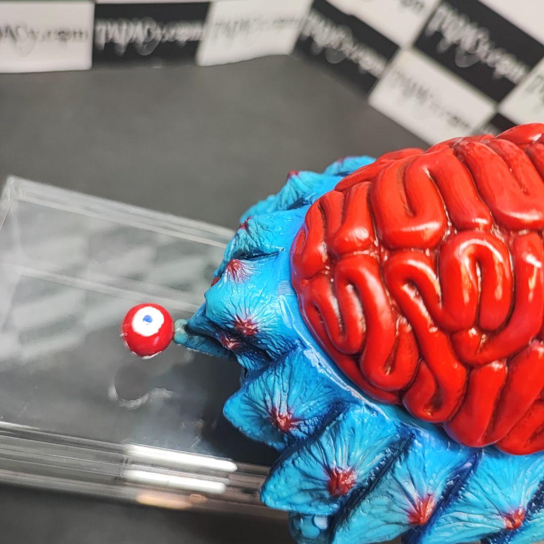 107ブレインタートル