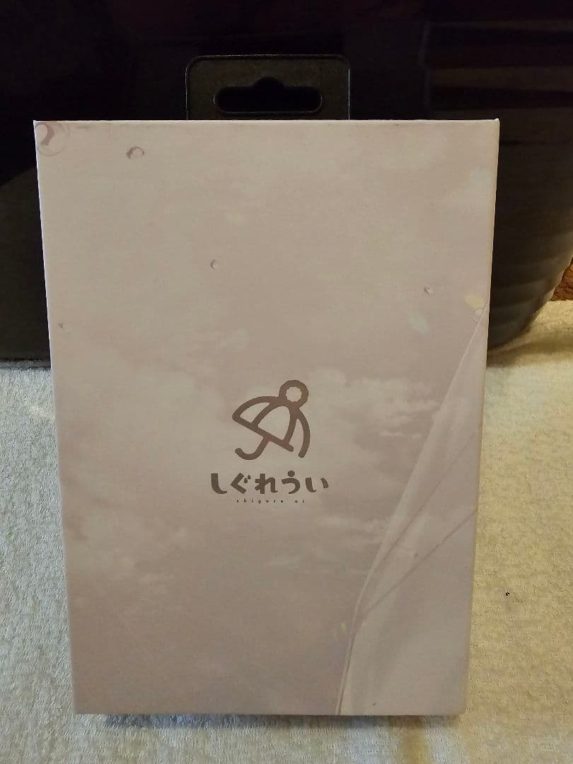 【美品】AVIOT×しぐれうい 完全ワイヤレスイヤホン TE-D01v-SGR