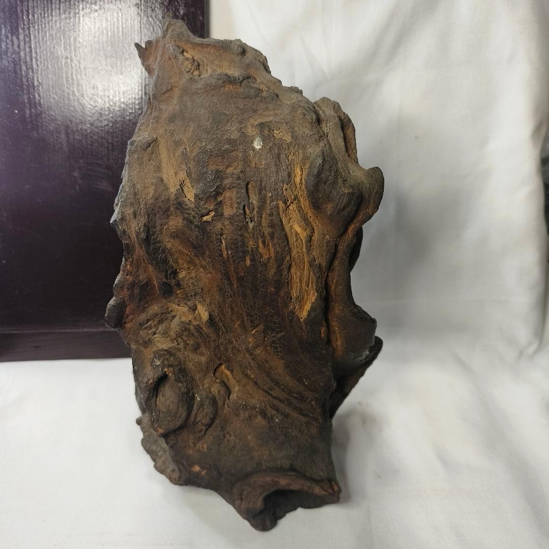 不動明王像 木彫り 樹根彫り光背 江戸骨董 桐箱付 仏教美術