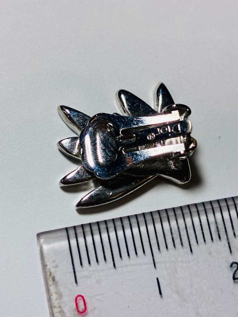 クリスチャンディオールネックレス&イヤリング