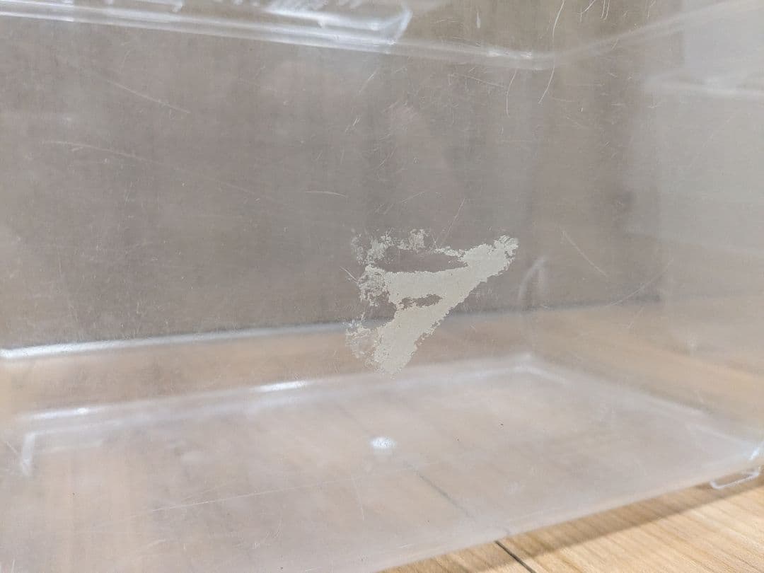 中古コバエシャッター大6 中6 小2