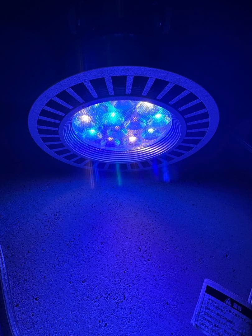 GrassyLeDioRX122 DP×2 RF×1クリップライトセット