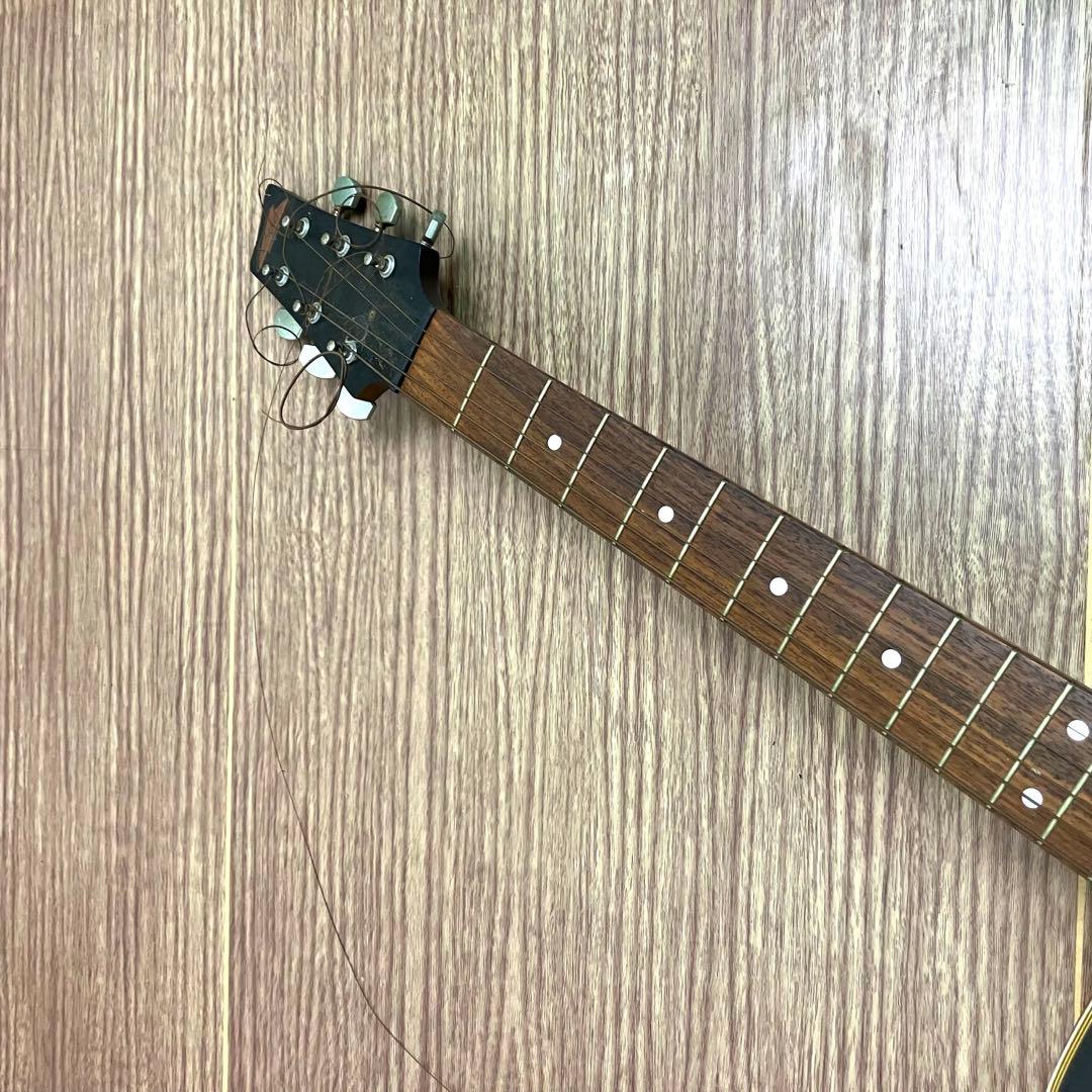 Drexel Starfield アコースティックギター - メルカリ