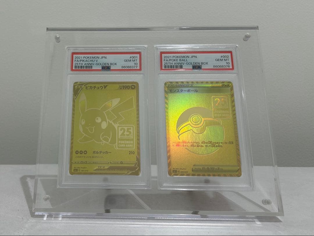 ぐるり森 カードケース6個 ぐるりん付き