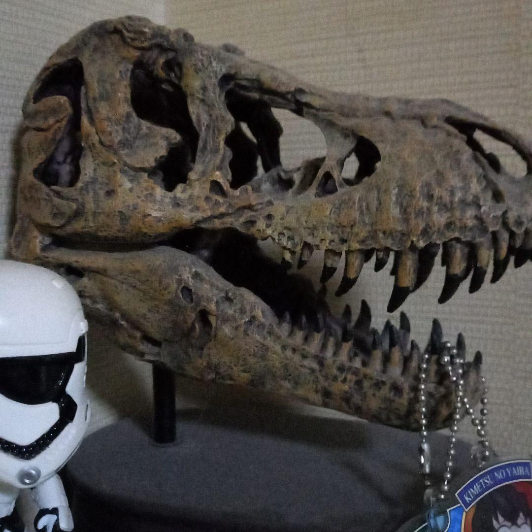 モモンガハウス（動物ダルマ柄）きなり 春（夏）秋仕様 1900円 2024