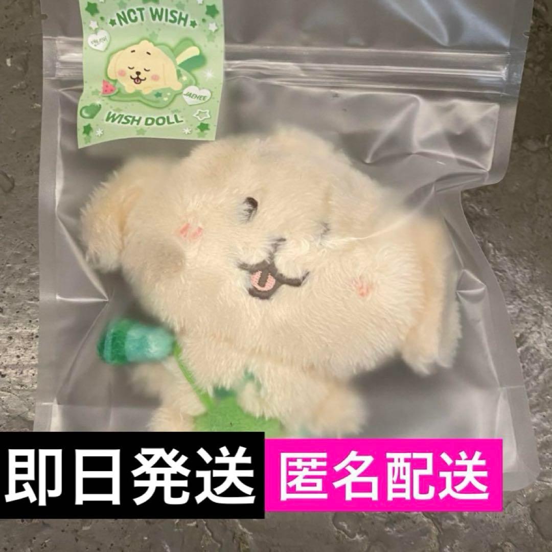 NCT WISH WISH DOLL ぬいぐるみ MD ジェヒ デントリバー NCT WISH