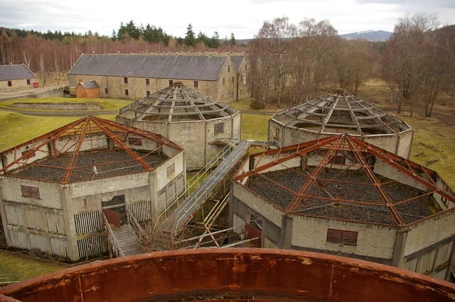 大幅値下げ】Imperial 1982 Chieftain's 24年 - メルカリ