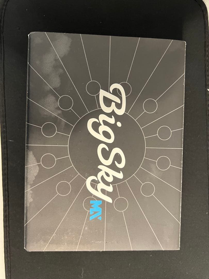 Strymon BigSky MX ギターエフェクター 美品 1/5まで値下げ - メルカリ