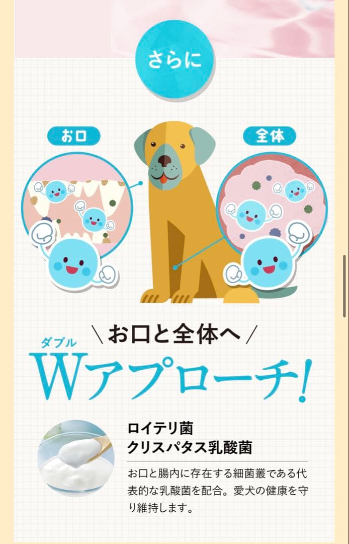 Dr.Dental Wan 歯磨きジェル ビーフ味 新品未使用 2本セット