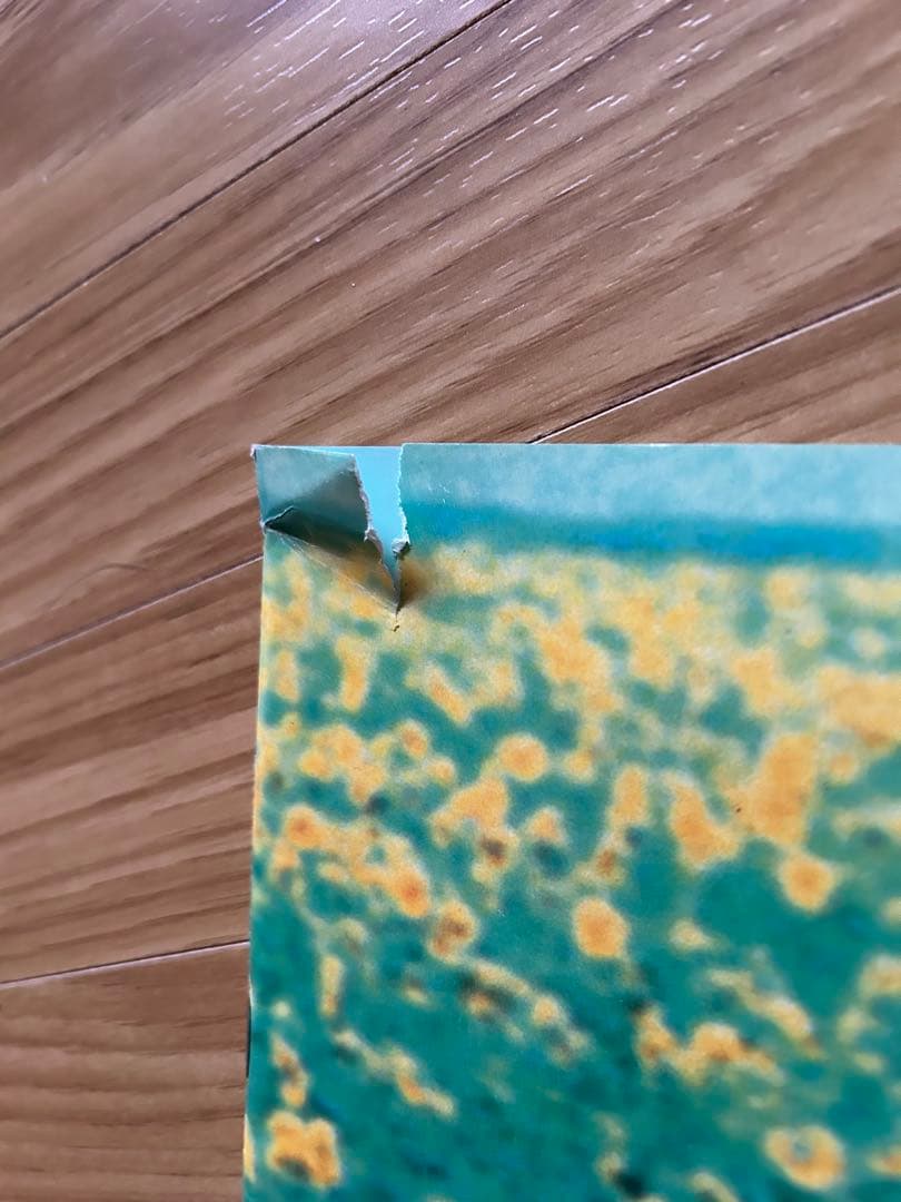 オフコース書籍 写真集 楽譜セット おまけ付 N110998463 安い