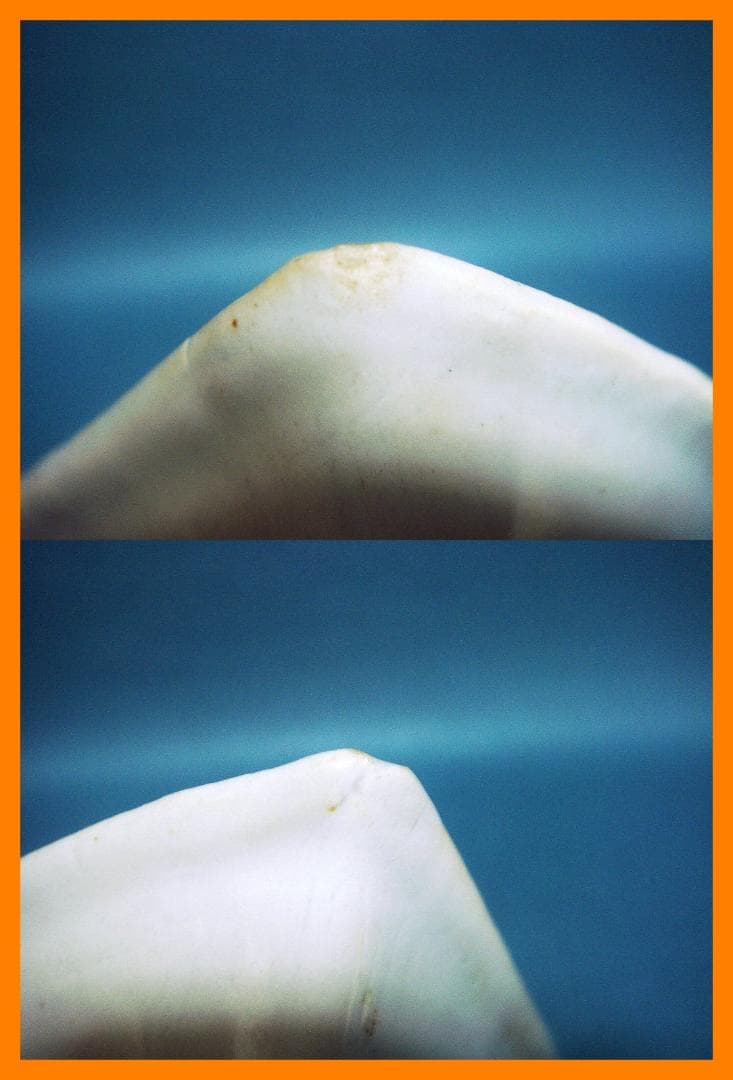 860『九谷 扇形鉢 向付』 /骨董品 古美術 古玩 アンティーク