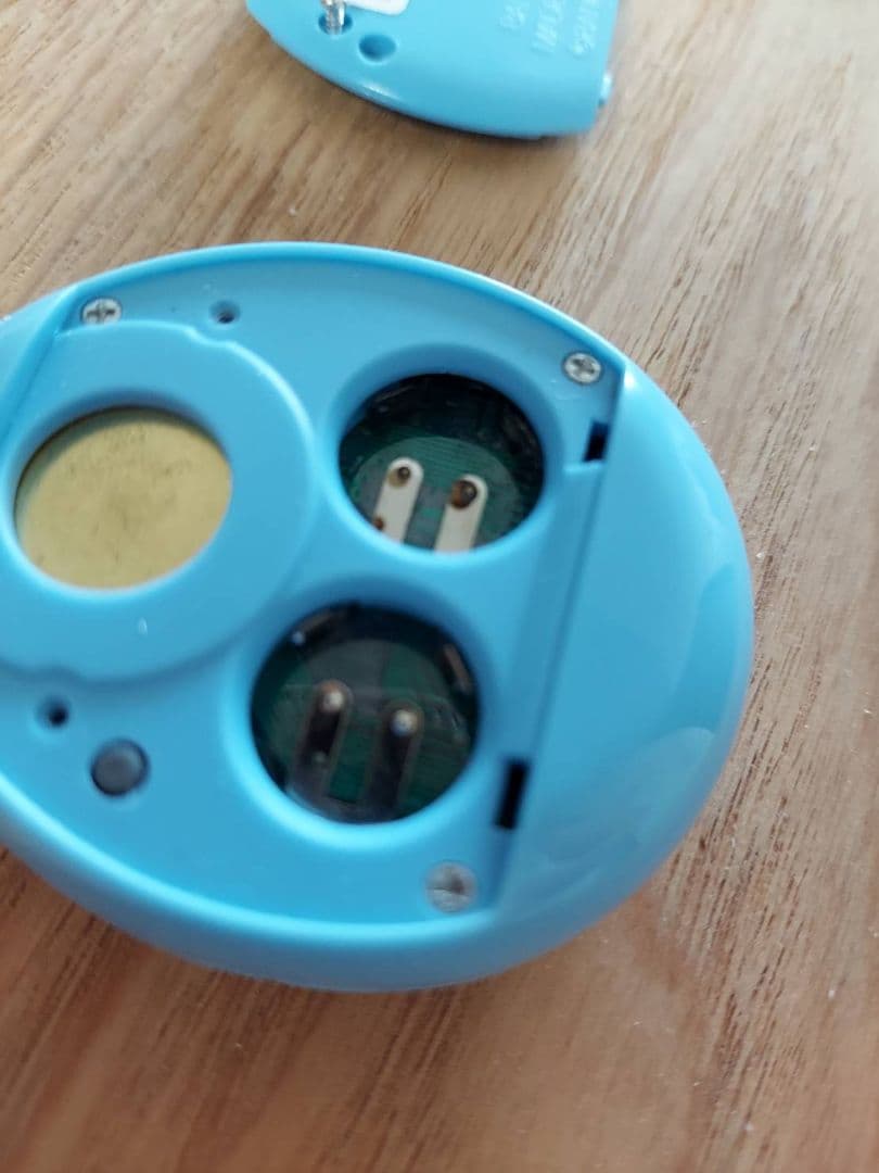 海で発見！　たまごっち　専用ケース　セット出品　オマケシール付き