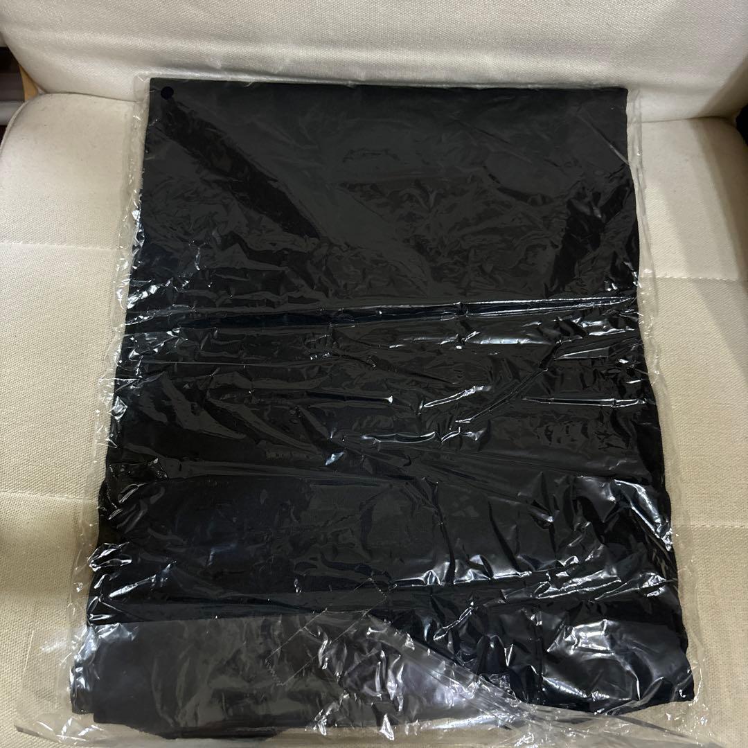 新品 NANBA69 Dragon Ash グッズ Tシャツ Lサイズ - メルカリ