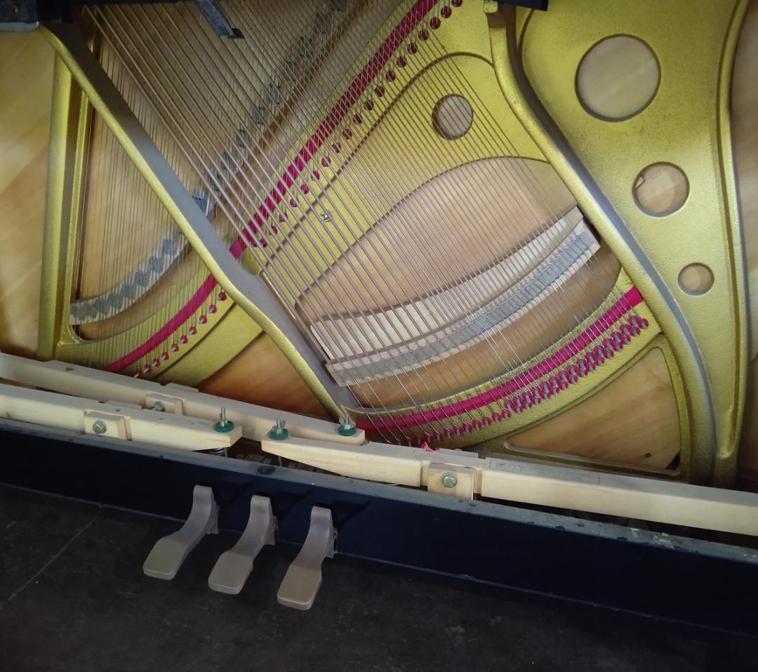 SR-85B SSS内蔵【グランドに最も近いアップライト/現状渡し】APOLLO