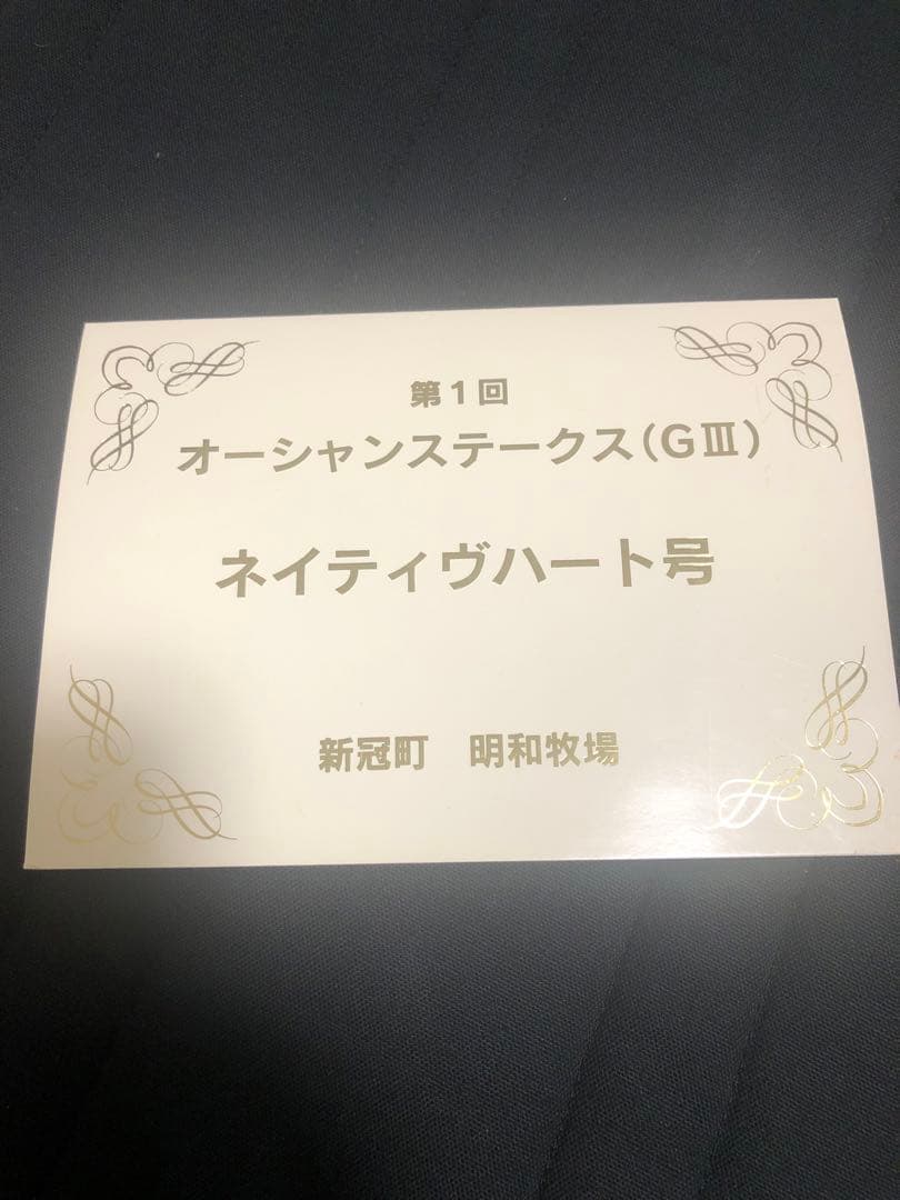 非売品 記念品 オグリローマン 桜花賞 激レア 関係者 オグリキャップ 妹