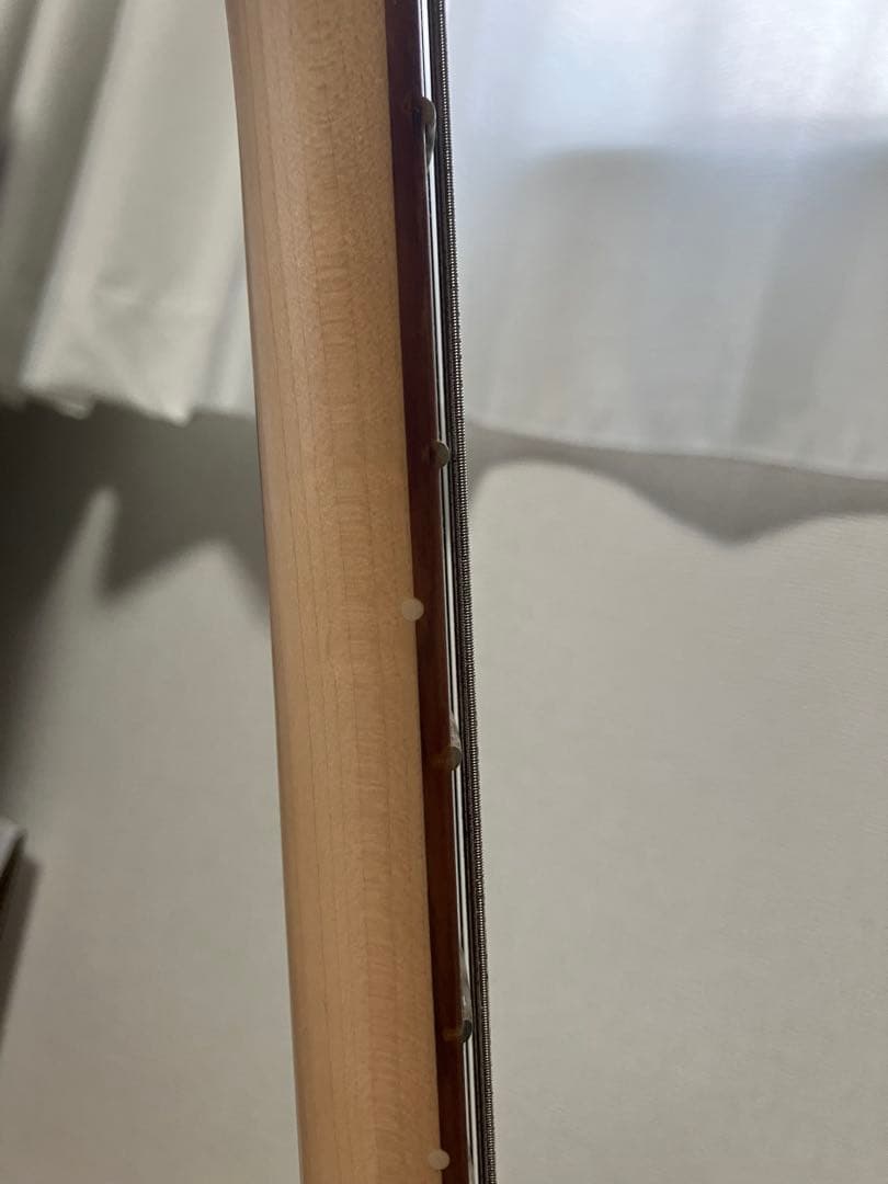 Fender Stratocasterメキシコ製　Tube Screamer付き