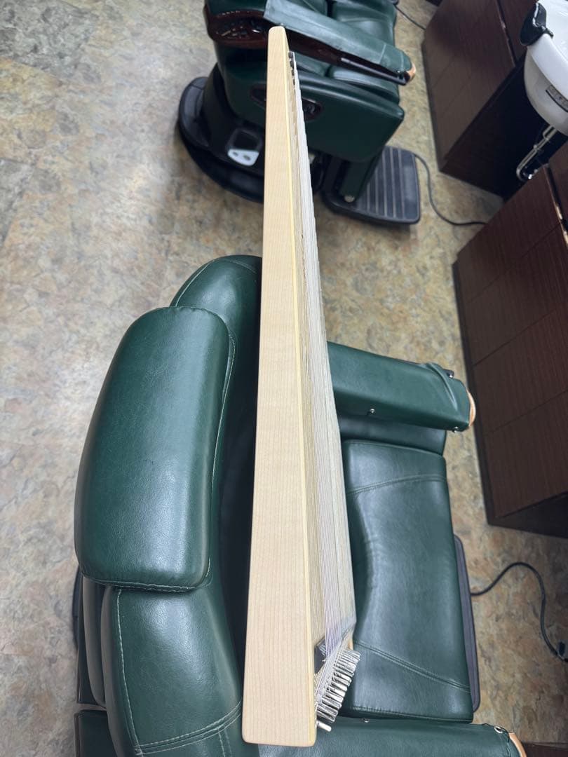 即演奏可能 ヘルマンハープ ローレライダイヤモンド Lタイプ フルセット