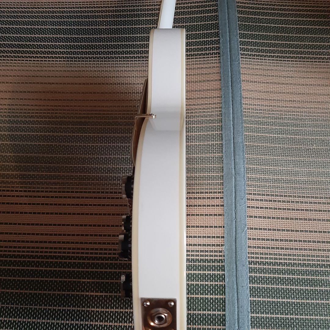 grassroots レスポール 弦新品張り替え済み ソフトケース付き