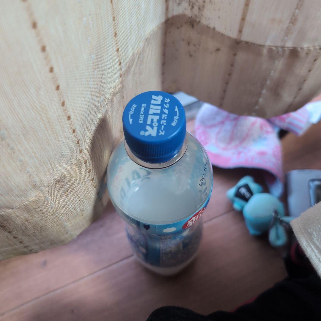 アサヒ飲料 19カルピスソーダPET500 アサヒ飲料 カルピスソーダ 500ml×48本 PET (炭酸飲料・エナジー