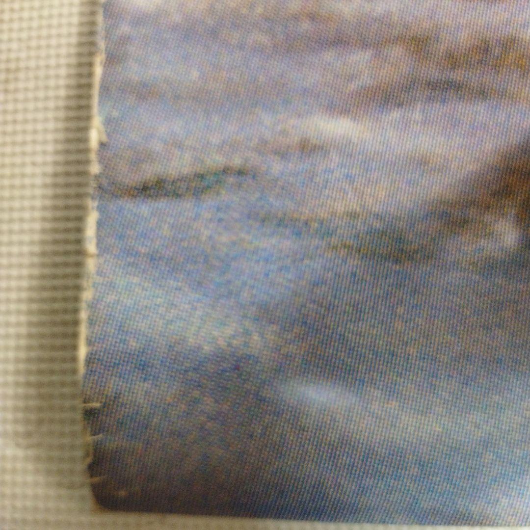 資生堂 　セリア・キャロン　特大ポスター この夏　その気