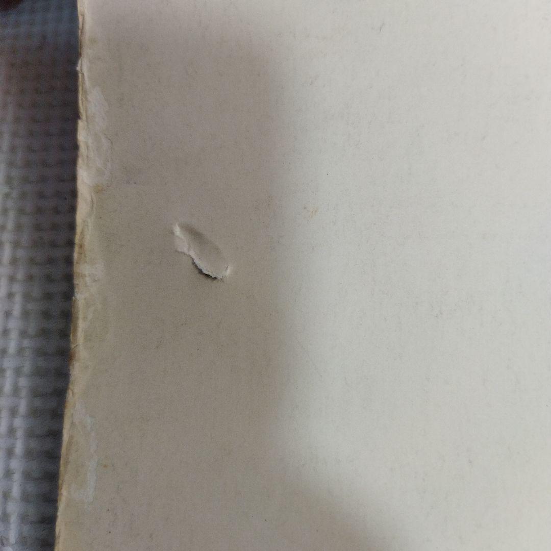 資生堂 　セリア・キャロン　特大ポスター この夏　その気