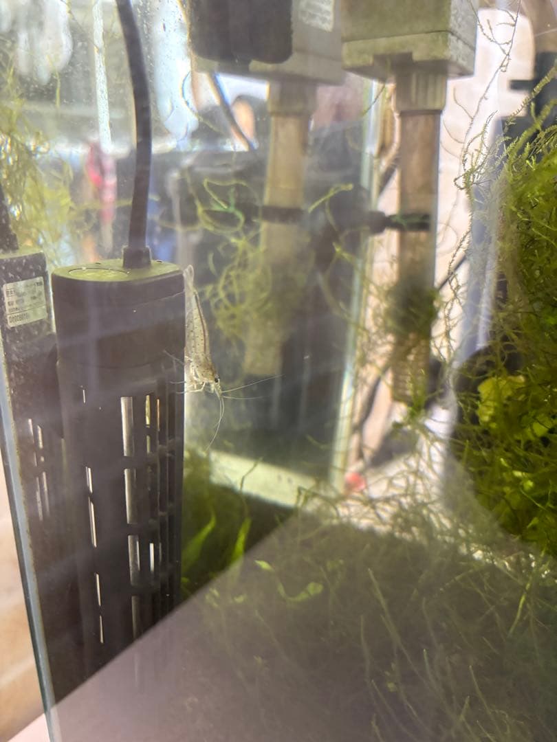 水槽フルセット 引き取り限定