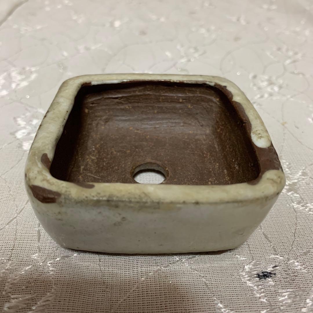 雀子　正方　盆栽鉢