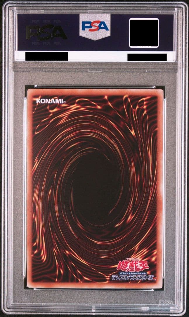 PSA9 誇りと魂の龍