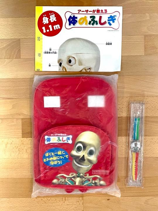 アーサーが教える 体のふしぎ 1〜80巻セット 人体模型 アーサーが教える