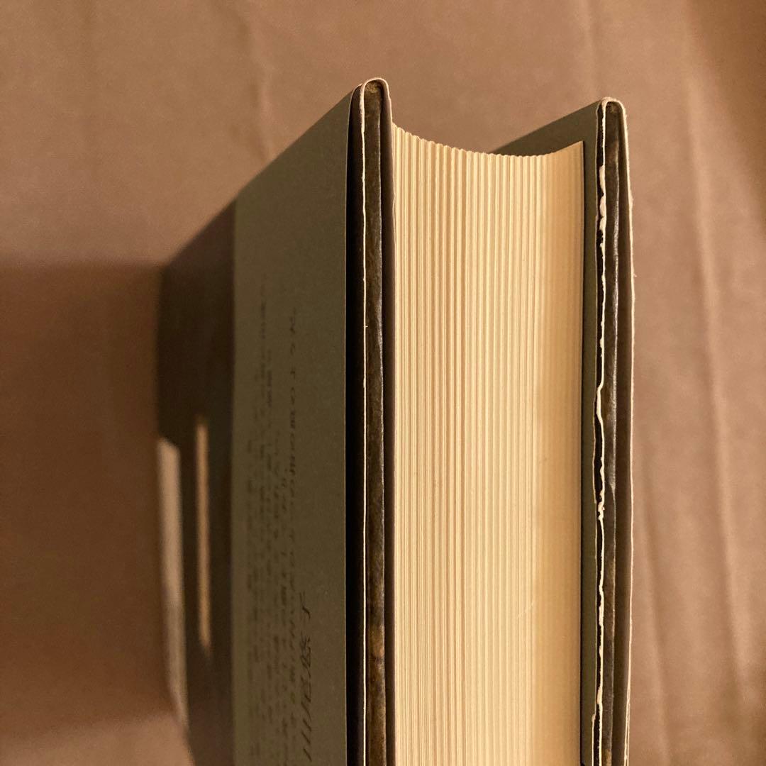 ワルプルギスの夜 マイリンク幻想小説集 グスタフ•マイリンク 《国書