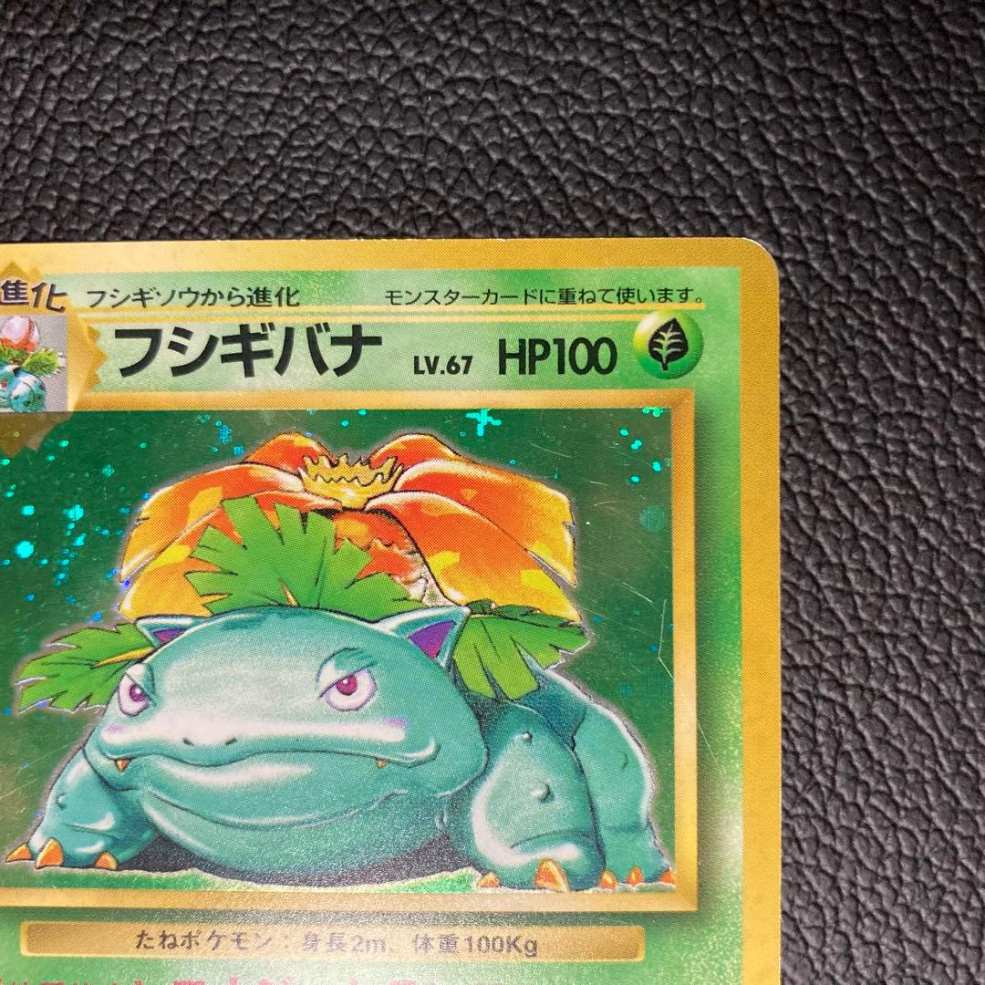 フシギバナ 初版　旧裏　マーク無し