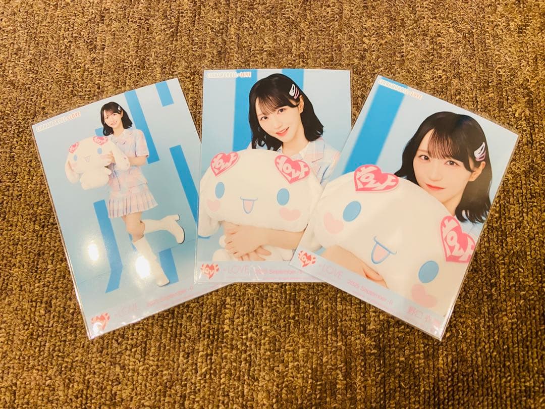 LOVE イコラブ 生写真 シナモロール シナモン 佐々木舞香 直筆 コンプ