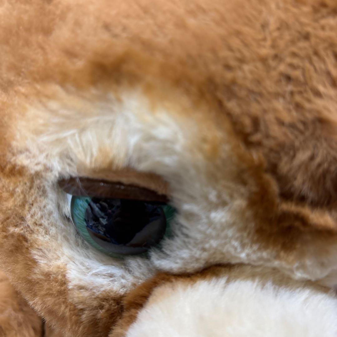 【廃盤品】レア ファーリアル 遊ぶのだいすき こぐまのカビー 動作確認済