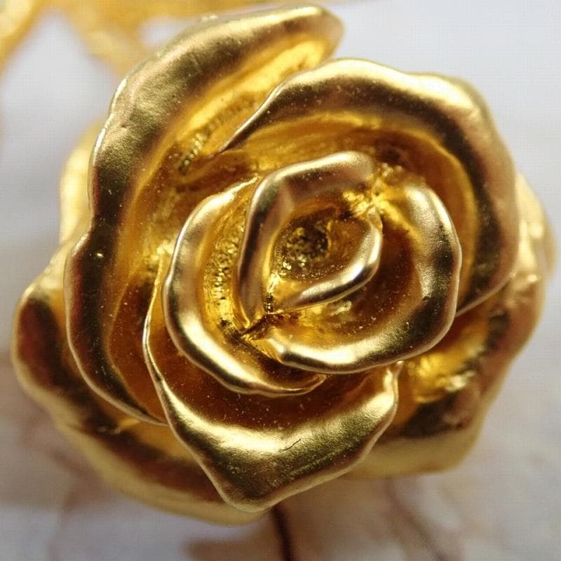 Patrick Q 様RU-6046 KENZO ケンゾーバラ 20250617