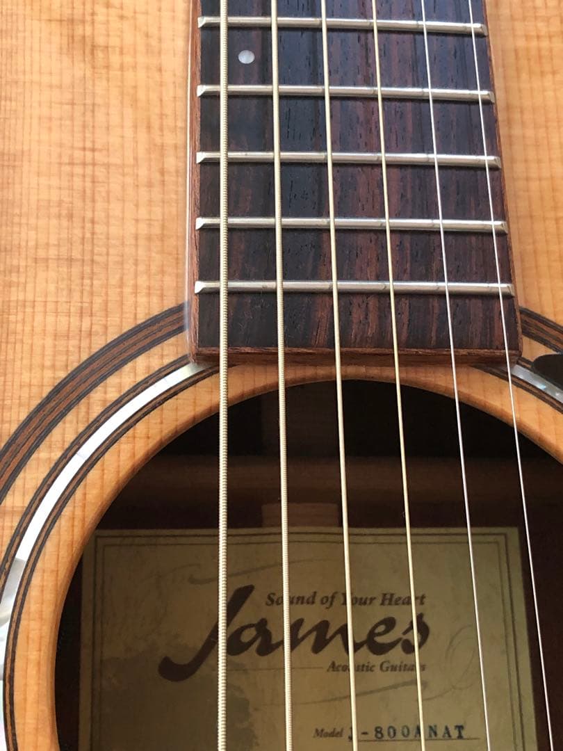 嘉彦様専用です♪James J800ANAT アコースティックギター - メルカリ